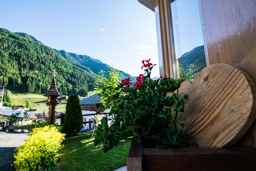 Príroda v okolí apartmánu