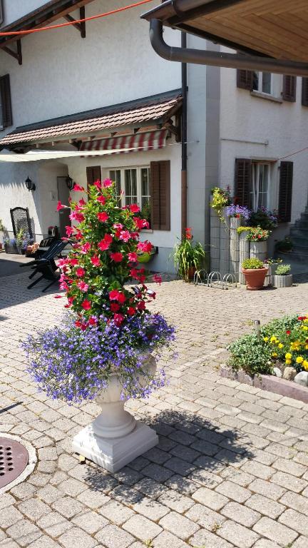 Zahrada ubytování Gasthaus Post