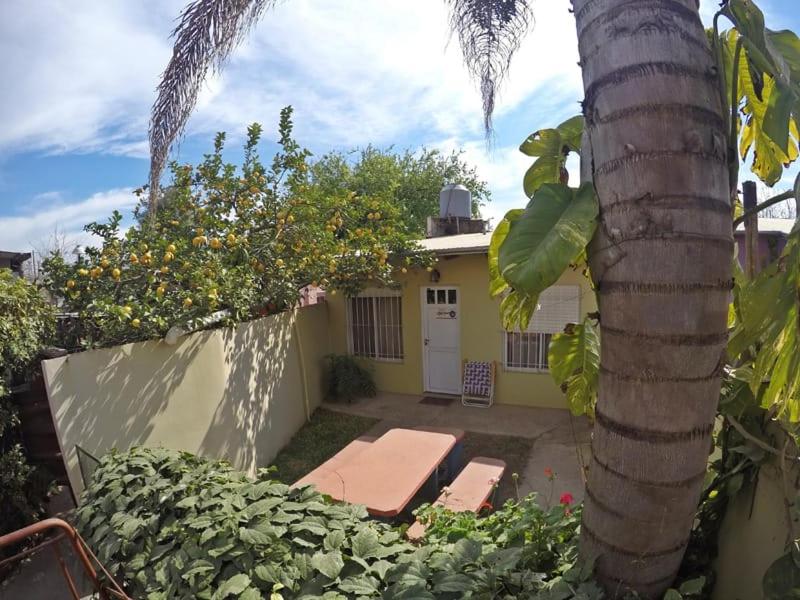 a house with a palm tree in front of it at Departamentos Chacabuco Familiar in Colón