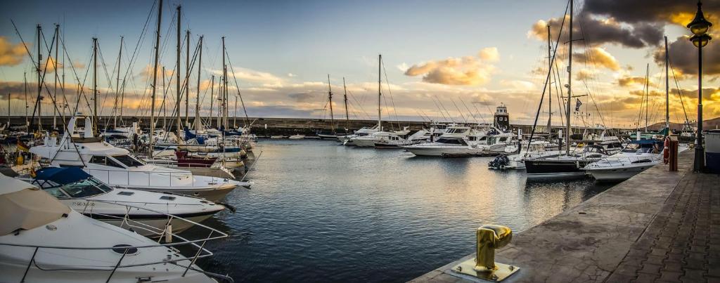 a bunch of boats are docked in a harbor at Casa Zen in Puerto Calero