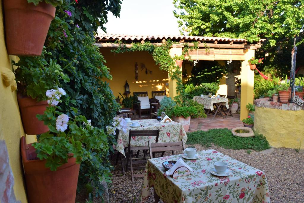 Zahrada ubytování Casa Rural Don Álvaro de Luna