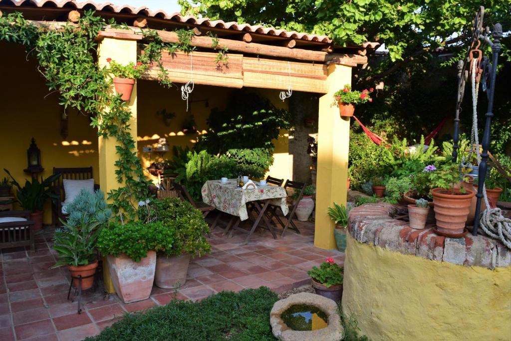 Zahrada ubytování Casa Rural Don Álvaro de Luna
