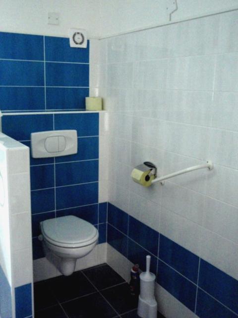 Koupelna v ubytování Apartman75