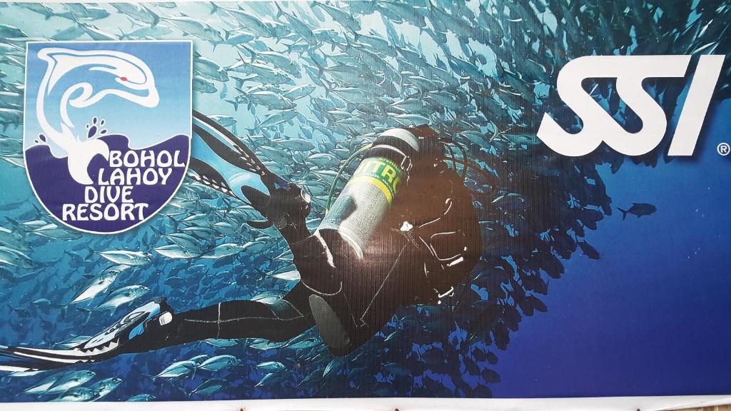 Certifikát, hodnocení, plakát nebo jiný dokument vystavený v ubytování Bohol-Lahoy Dive Resort