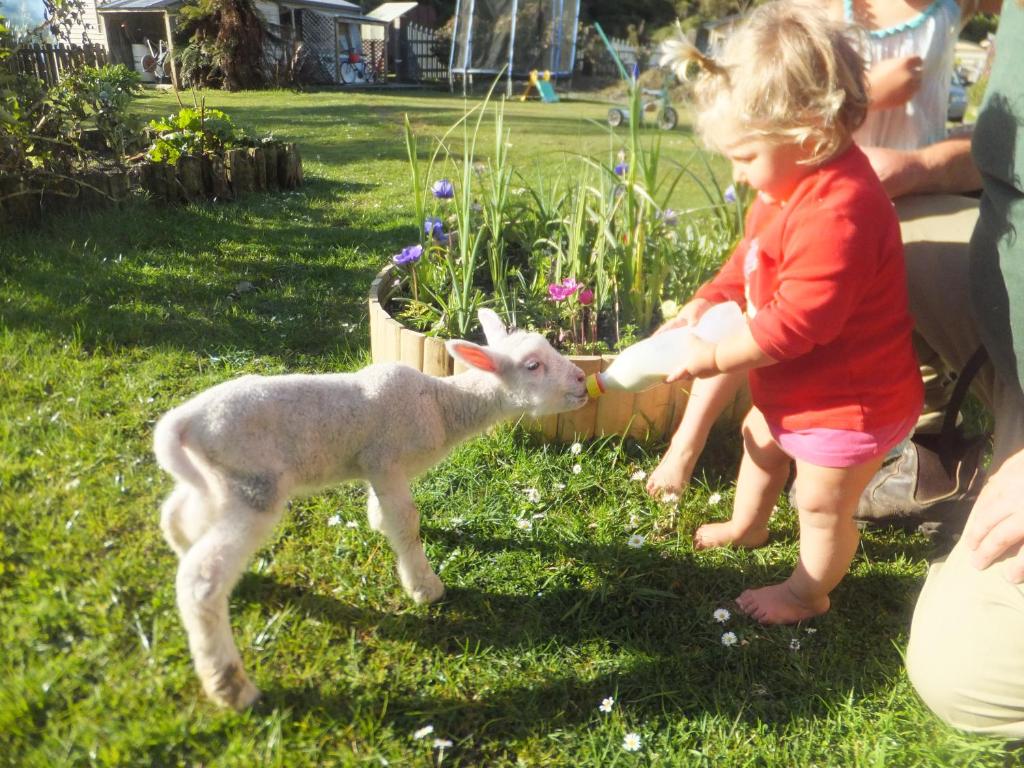 Une petite fille nourrissant un bébé agneau à partir d'une bouteille dans l'établissement Little Paradise & Petting Farm, à Greymouth