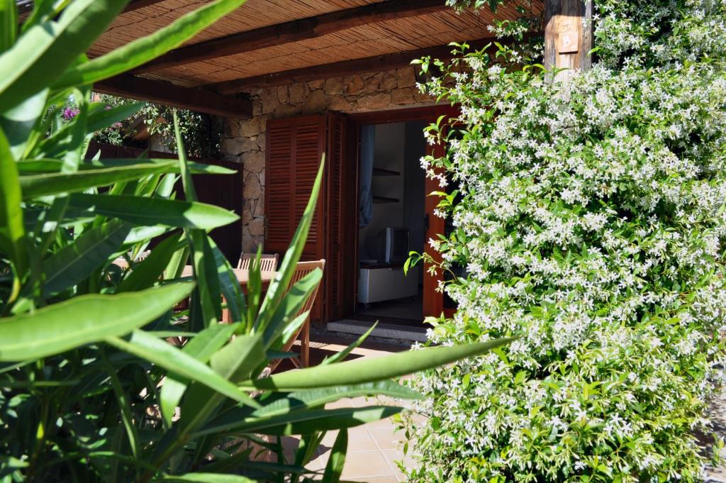Vonkajšia záhrada v ubytovaní Cala Paradiso Residence