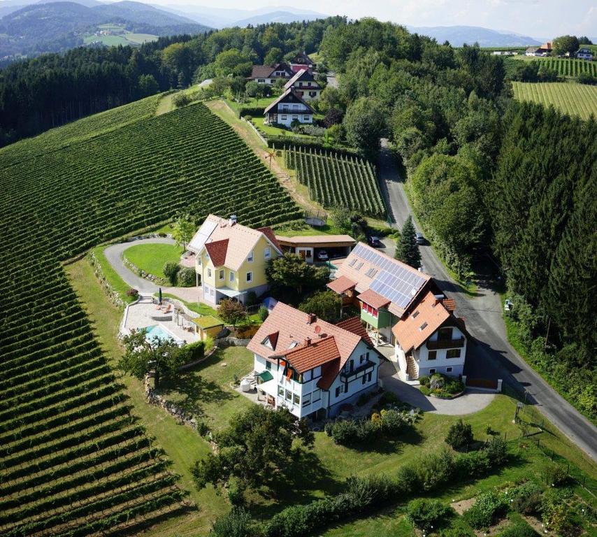 an aerial view of a house in a vineyard at Schlossferienhaus in Wies