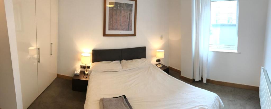 ダブリンにあるCosy En-Suite Double Room in City Centreのベッドルーム1室(ランプ2つ、窓付)