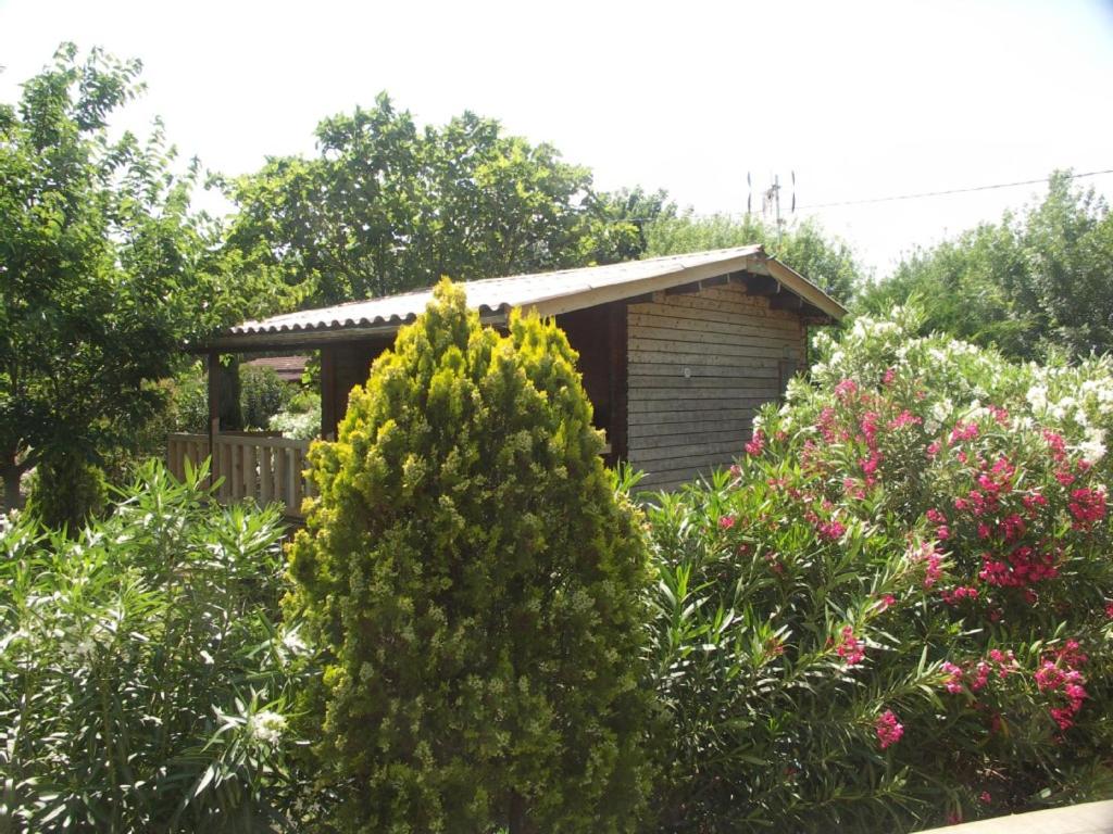 a small cabin in the middle of a garden at Chalets 1 MESANGE BLEUE Roquebrune Sur Argens in Roquebrune-sur-Argens