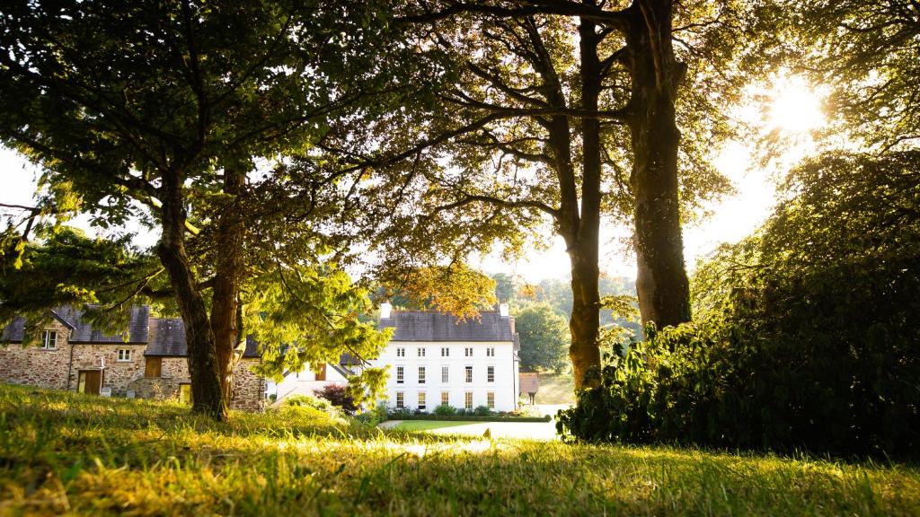 een groot wit huis met bomen in het gras bij Grove of Narberth in Narberth