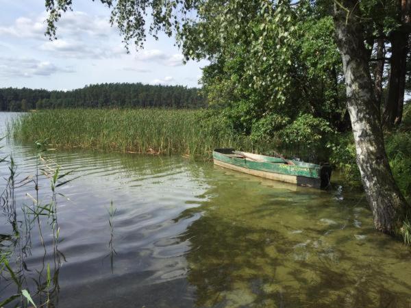 Príroda v okolí chaty v prírode