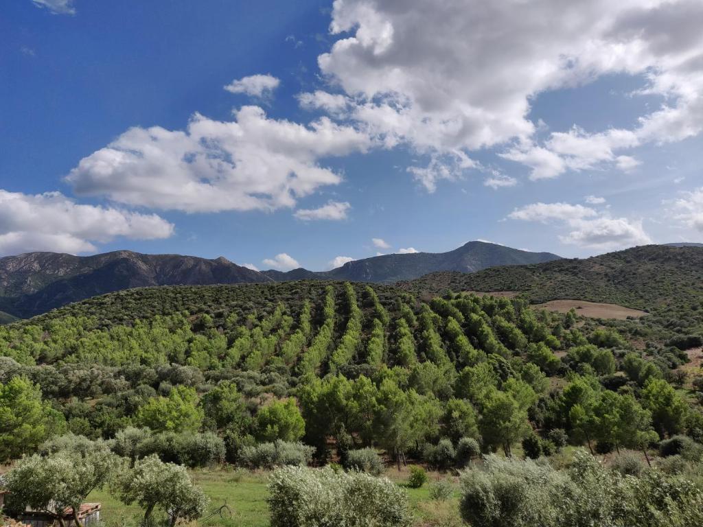 Casa Pinella - Casa Natalizia