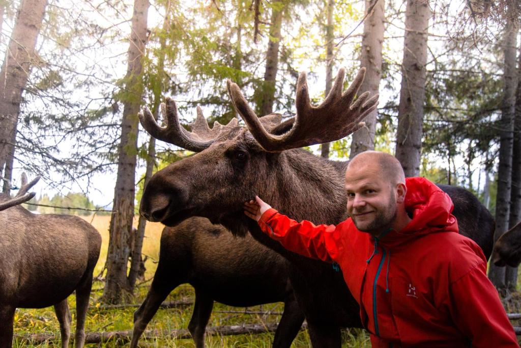Zvířata v prázdninového domu nebo okolí