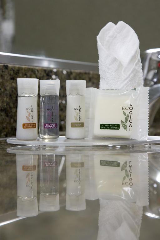 The Falls Hotel & Inn - Resim 44