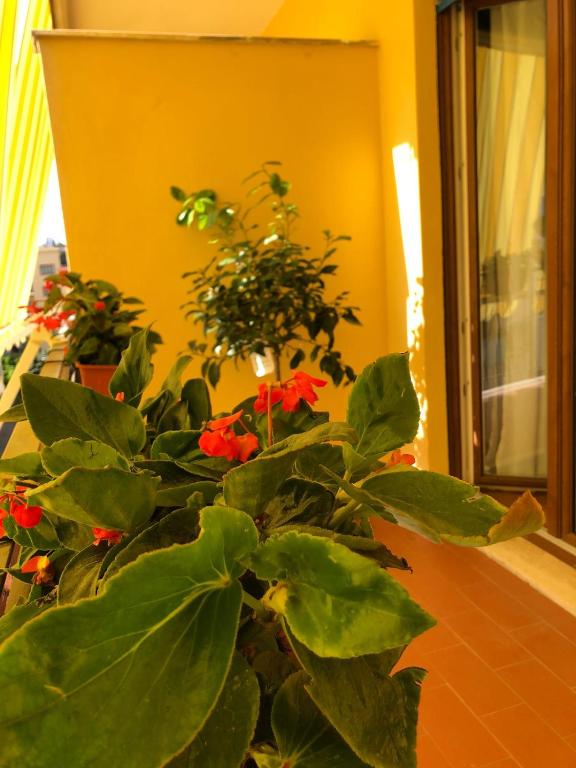 Zahrada ubytování B&B La Rada
