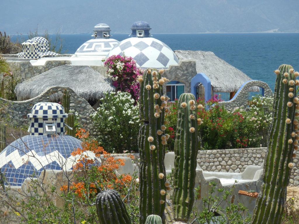 um jardim com cactos e uma casa e o oceano em Ventana Bay Resort em La Ventana