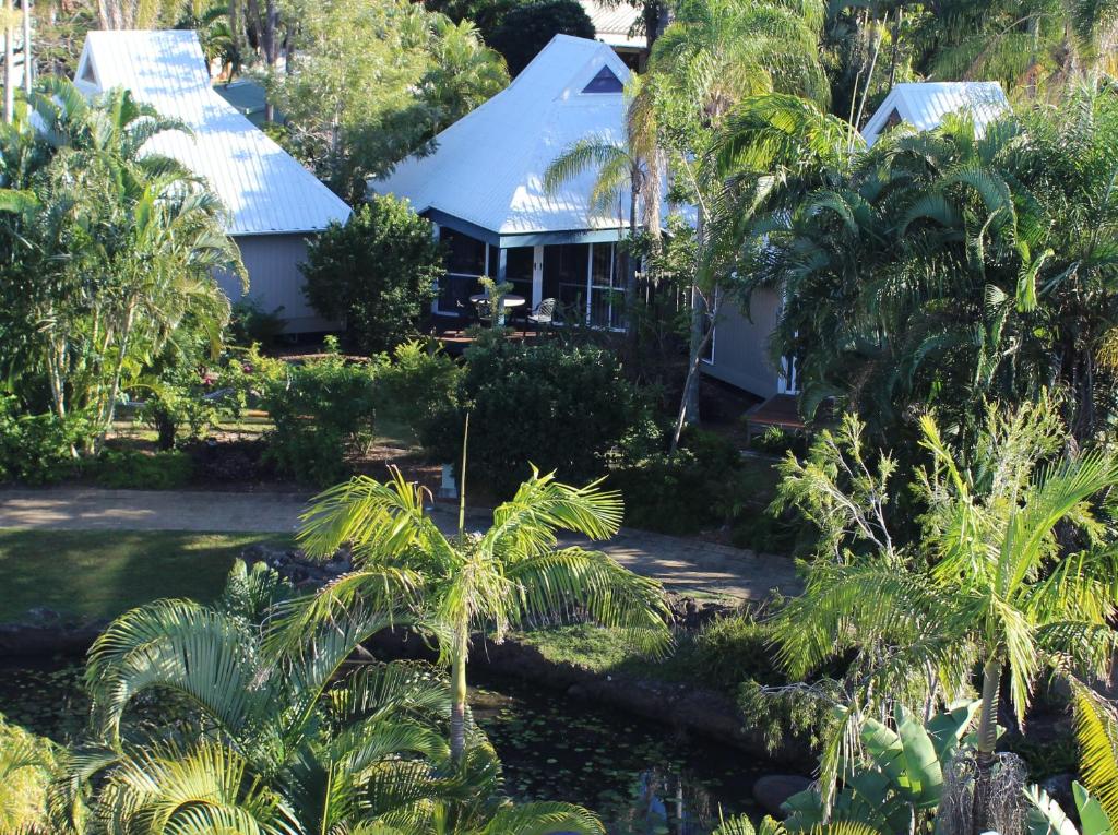 a house in the middle of a jungle with palm trees at Kellys Beach Resort in Bargara
