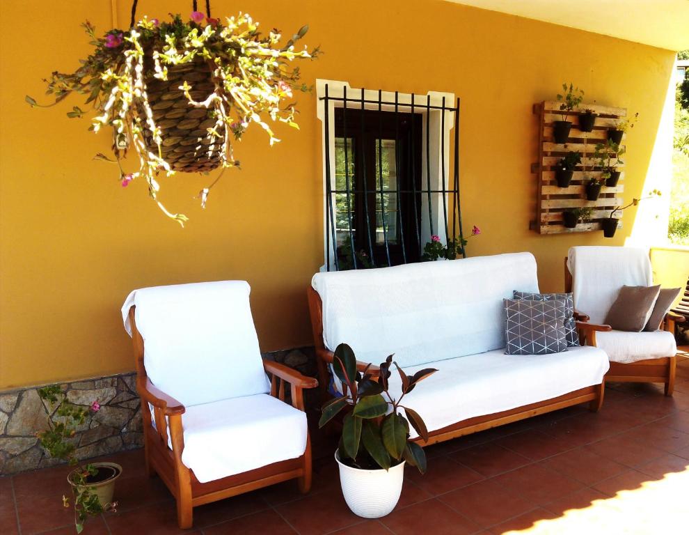 Lires的住宿－O Cruceiro，门廊,带两把椅子和盆栽