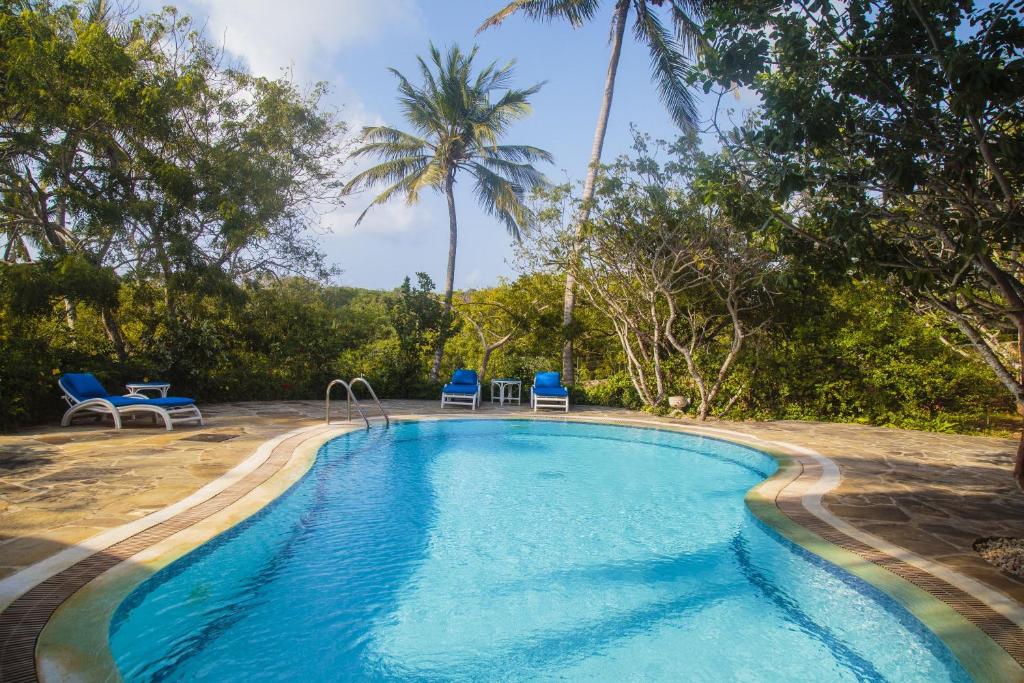 a pool with blue chairs and palm trees at Mwanana House in Watamu