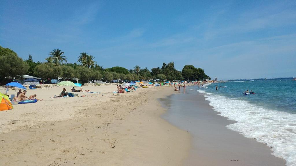 a group of people on a beach with the ocean at Spiaggia dorata in Montroig