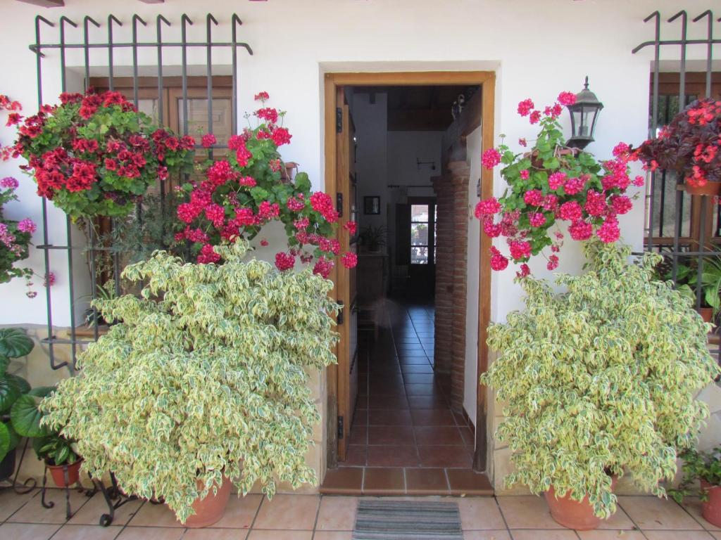 Apartamento Vista Paraiso El Borge (Spanje Borge) - Booking.com