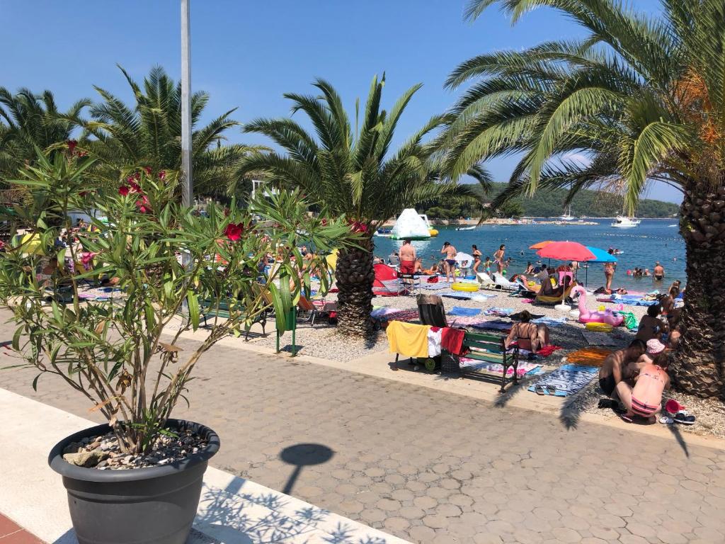 Príroda v okolí apartmánu