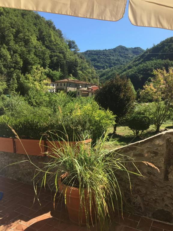 a view from the patio of a house with a potted plant at River Idyll in Bagni di Lucca