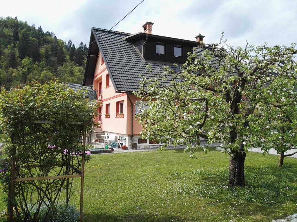 Apartments Silič - 山景公寓