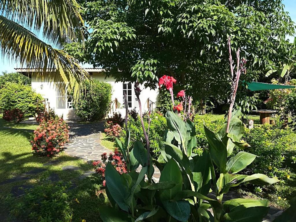 Zahrada ubytování Cabanas Los Colibris Hotel Ecolodge