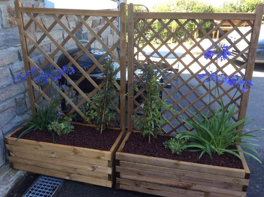 a garden with blue flowers in a wooden box at Cosy&#39;s Sable in Larmor-Plage