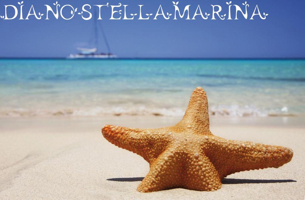 a starfish on the beach with the ocean in the background at Dianostellamarina in Diano Marina