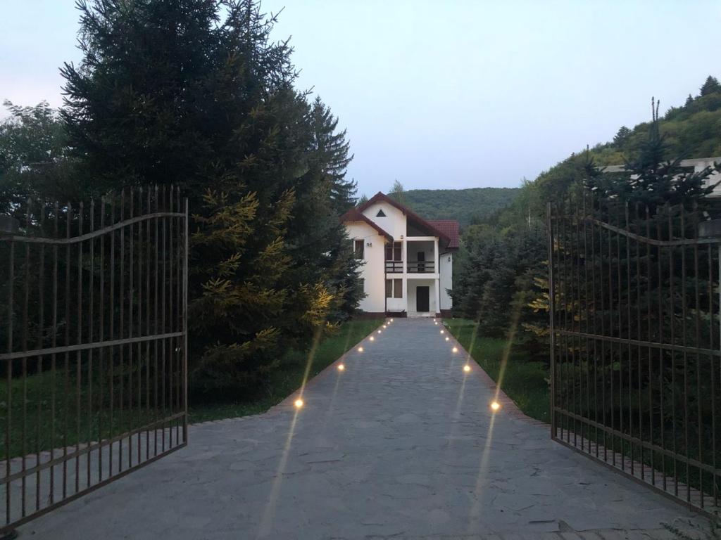 a driveway leading to a house with lights on it at Privilegio 148 Sâmbăta in Sîmbăta de Sus