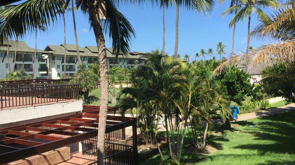 Beach Class Muro Alto Prime  Beach Class Muro Alto Prime