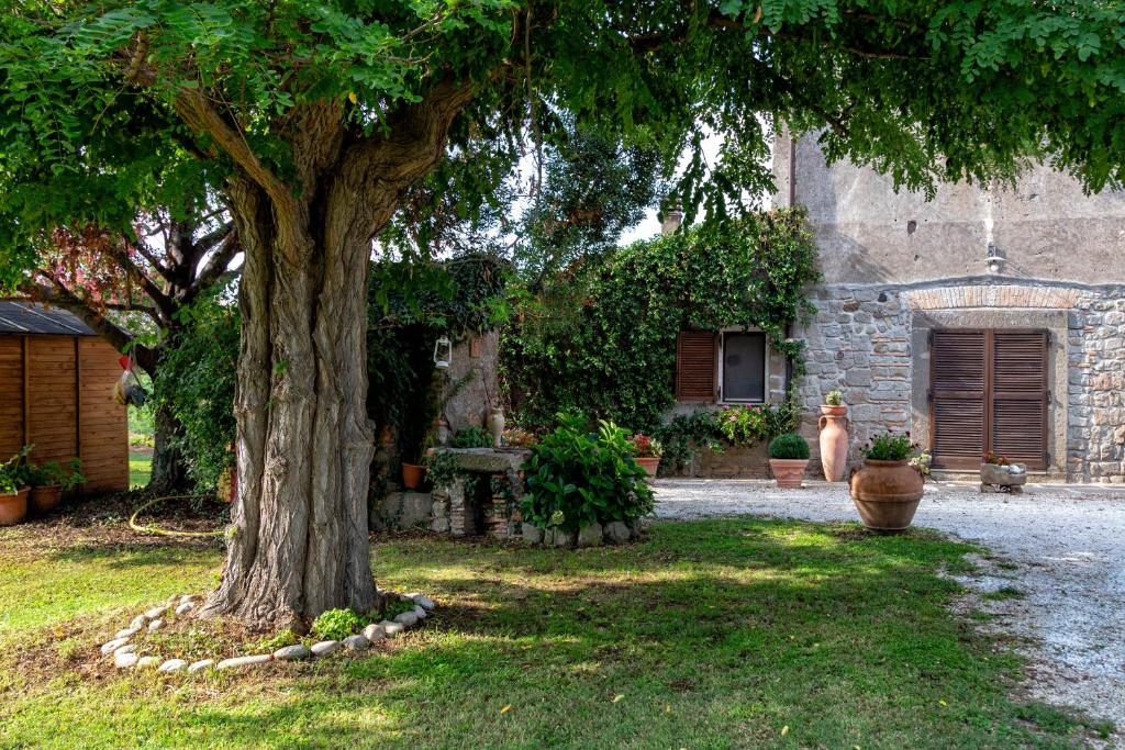 Zahrada ubytování Il Castelletto del Salamaro