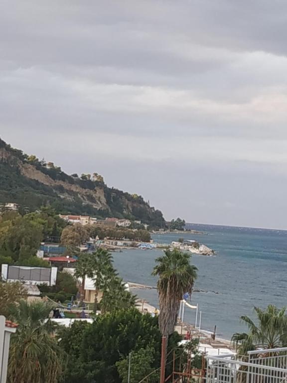 a view of a beach with a palm tree at Studio Gio in Zakynthos City in Zakynthos Town