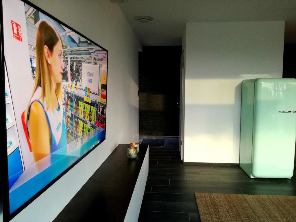 TV a/nebo společenská místnost v ubytování Oduo Nature