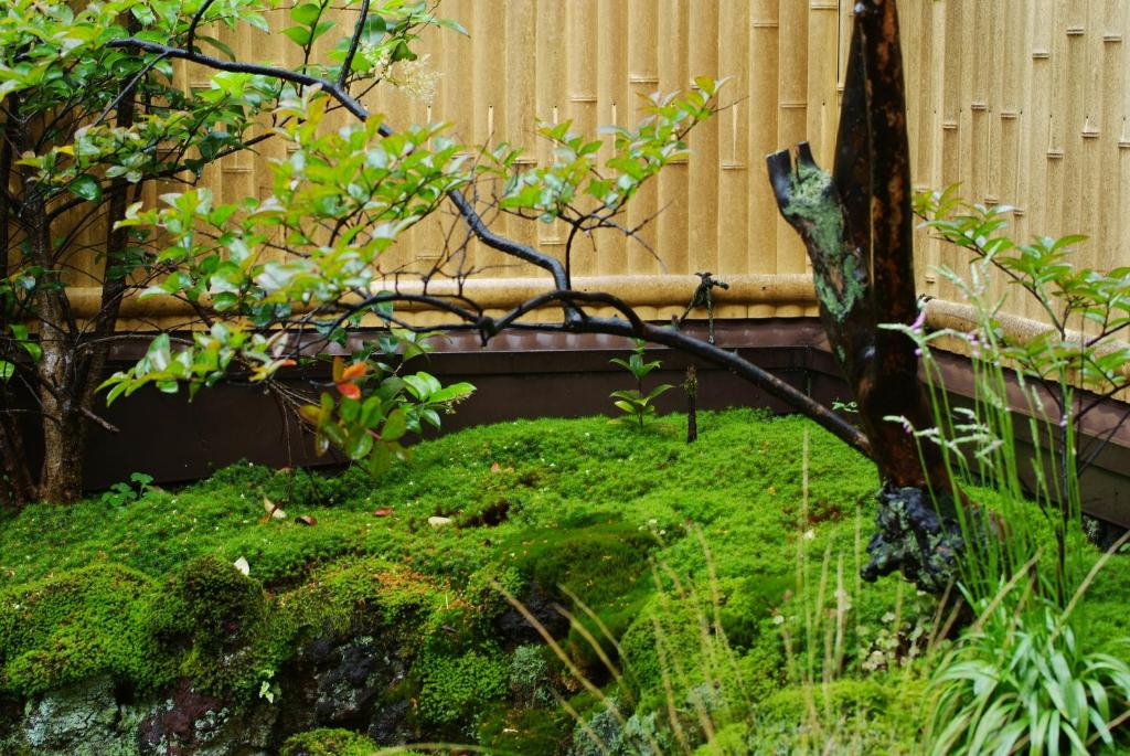 Zahrada ubytování 城崎温泉 但馬屋-Tajimaya-