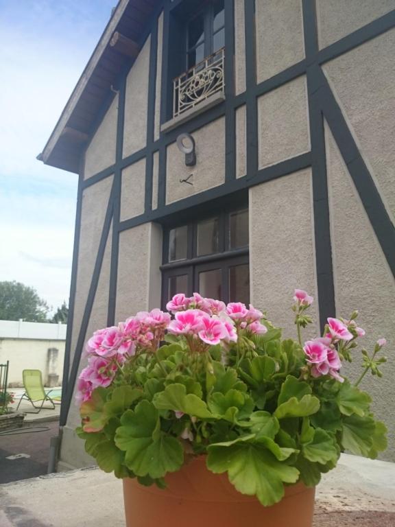 een pot roze bloemen voor een gebouw bij Les Lumieres d'Epernay in Épernay