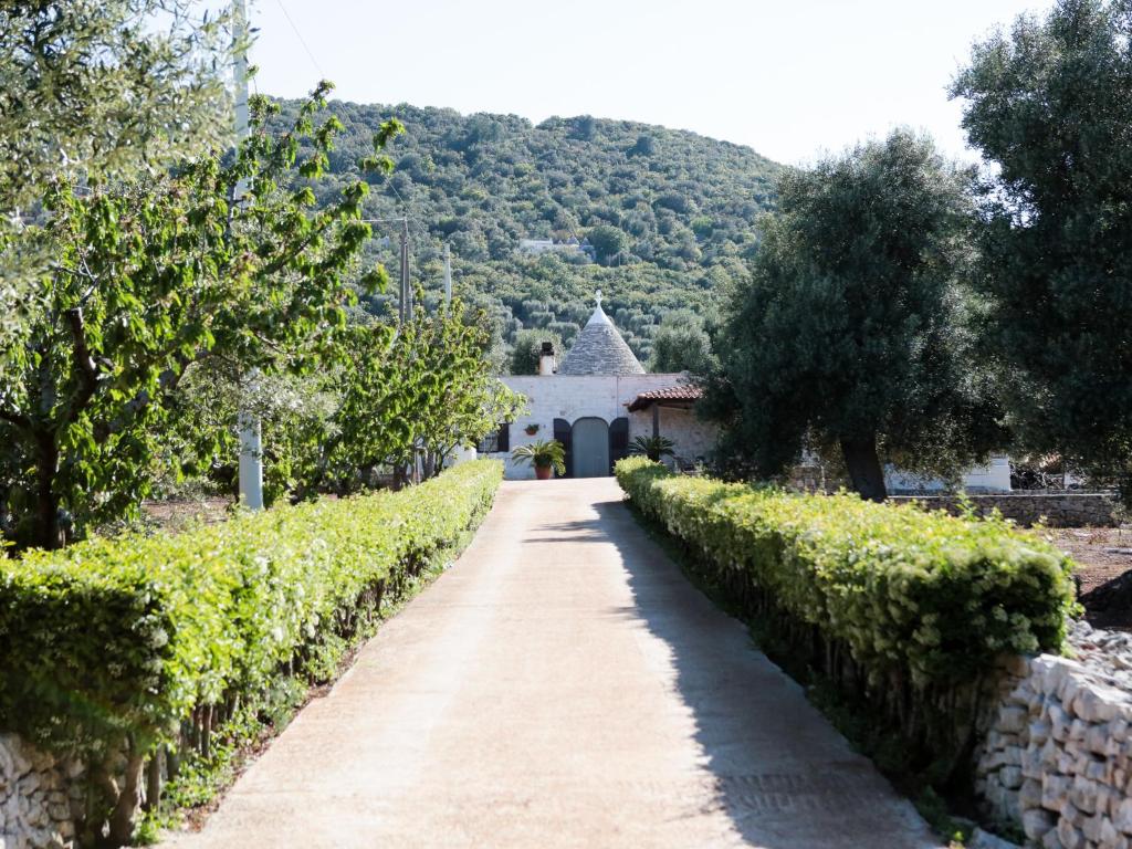 un camino que conduce a una casa en un viñedo en B&B La Collina Degli Ulivi, en Fasano