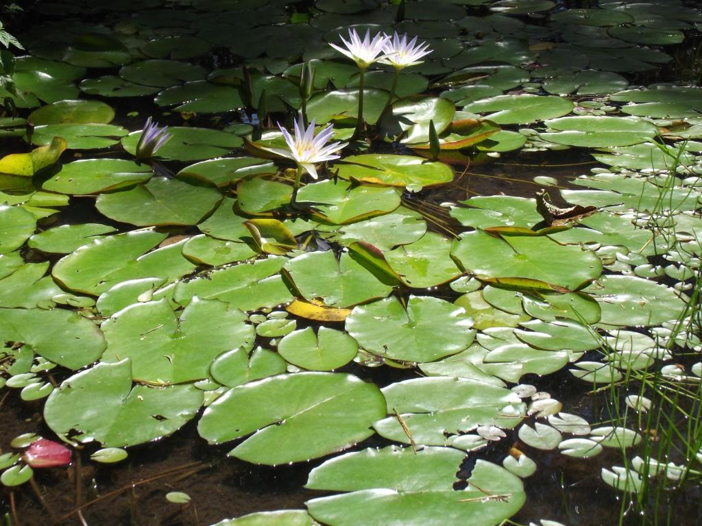 Recanto na Montanha de Gramado  Recanto na Montanha de Gramado