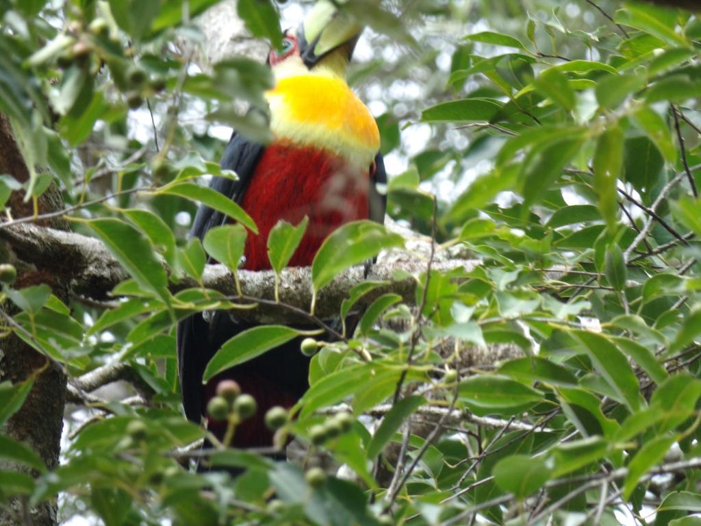 Recanto na Montanha de Gramado  Recanto na Montanha de Gramado