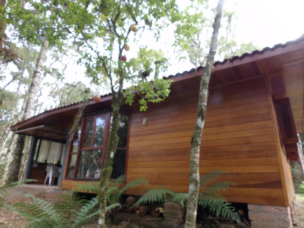 una cabaña de madera en el bosque con árboles en Recanto na Montanha de Gramado en Gramado
