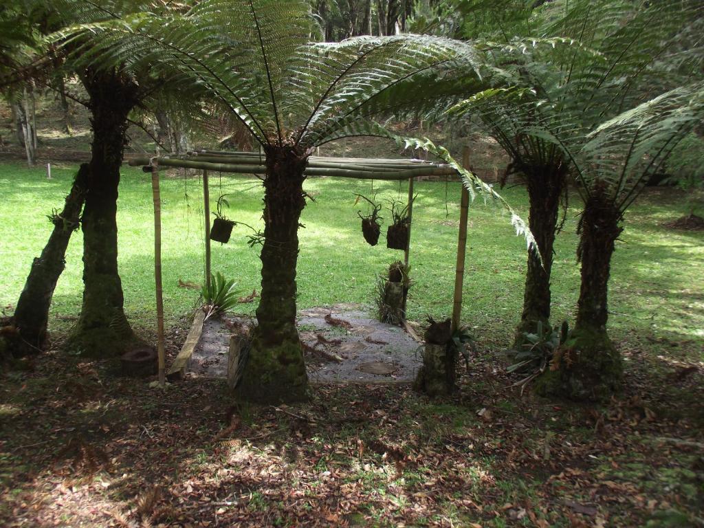 Recanto na Montanha de Gramado  Recanto na Montanha de Gramado
