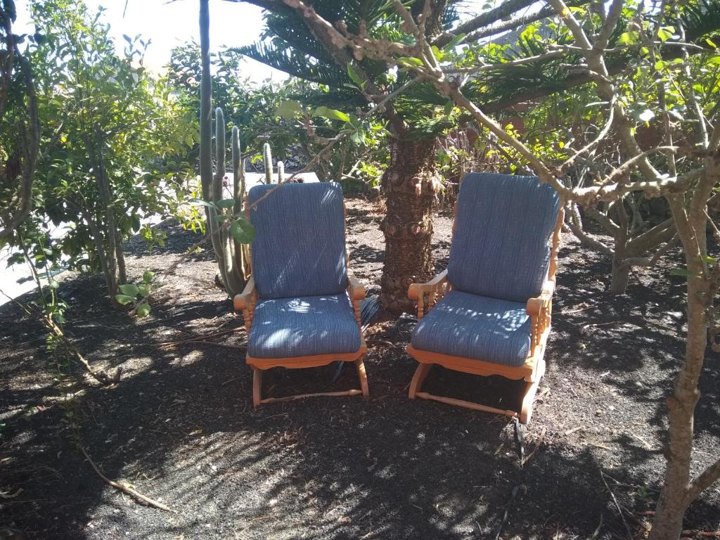 Zahrada ubytování Casa Rural Amapola