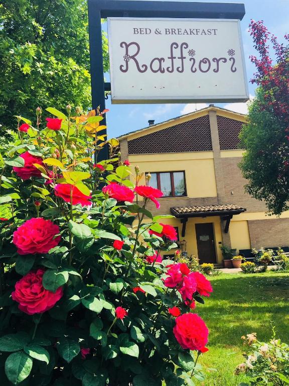 Zahrada ubytování B&B Raffiori