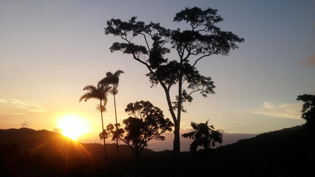 a sunset with palm trees in front of a mountain at Daintree Holiday Homes - Yurara in Cow Bay