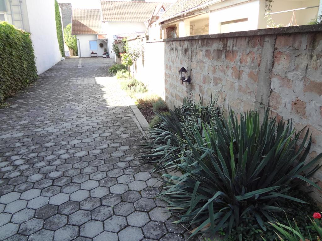 Apartments Košević - 1