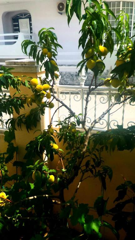Casa em Palmela - Setúbal - Huis Met één Slaapkamer