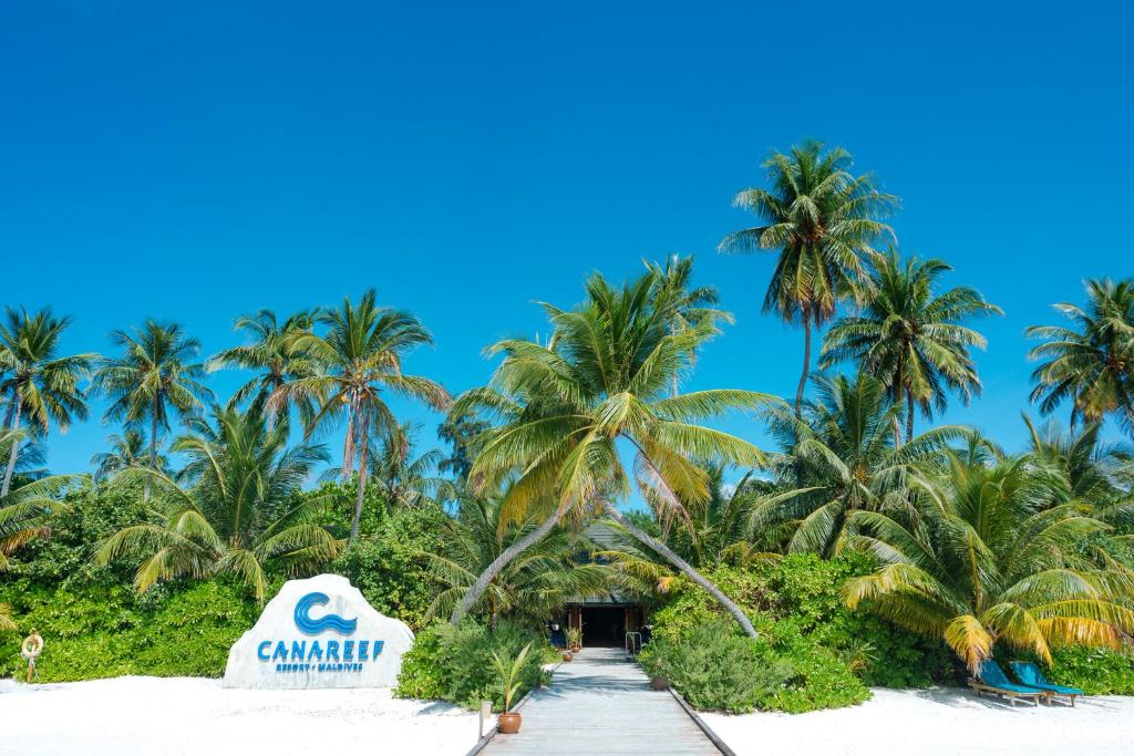 Canareef Resort Maldives - View 46