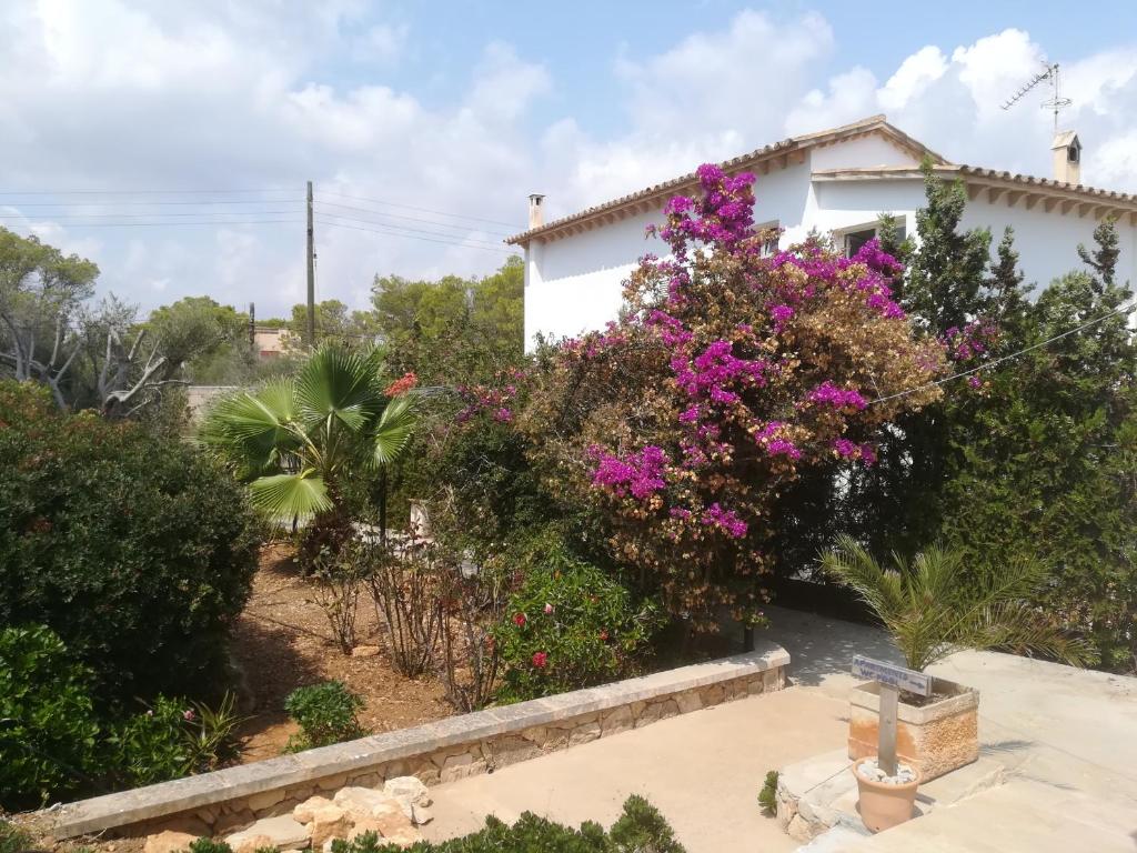 a house with purple flowers in front of it at Apartamentos Villa Primera in Cala Figuera